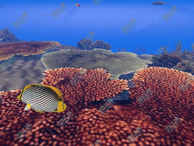 images/goods_img/202104091/Coral Fish Pack/4.jpg